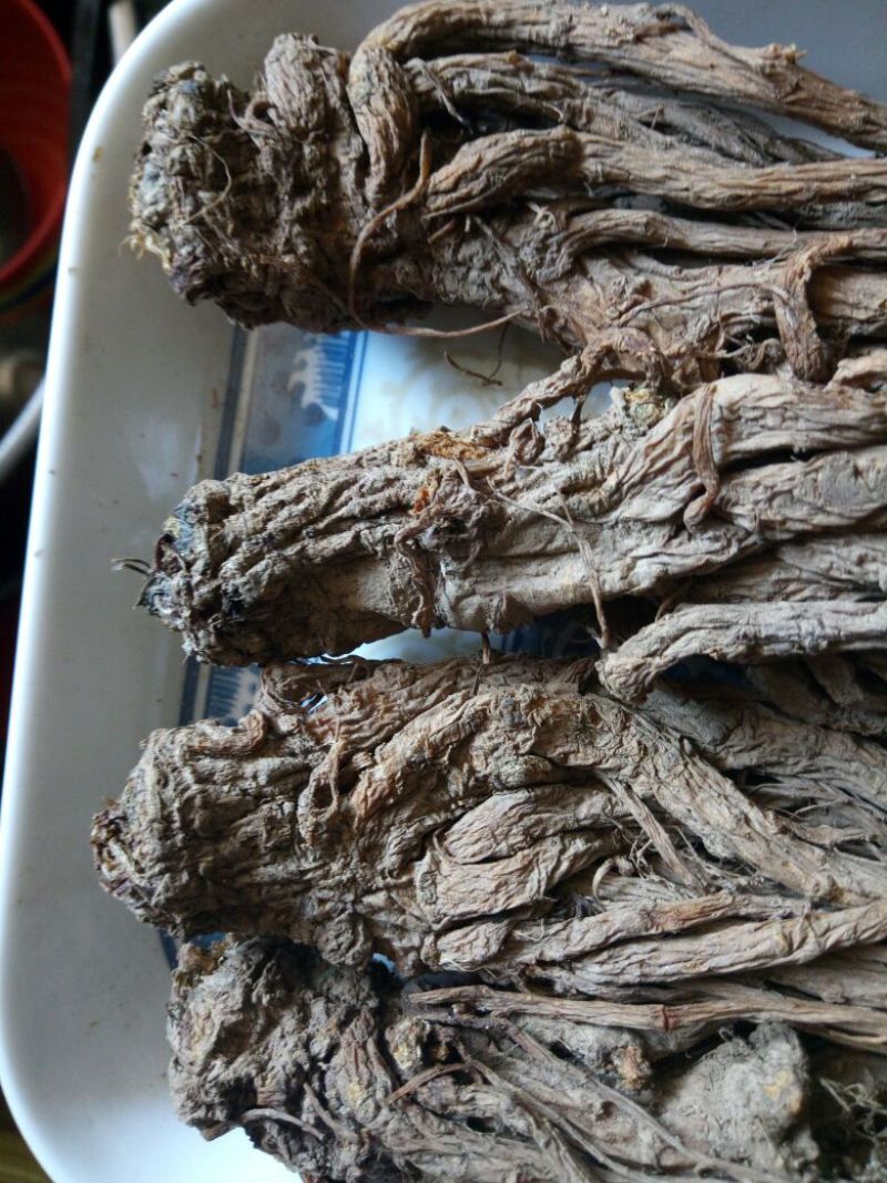 岷当归全当归小无硫，无水洗干货