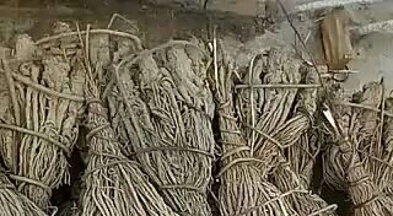 岷当归全当归小无硫，无水洗干货