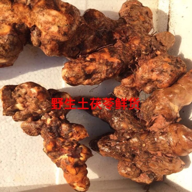 野生土茯苓鲜货产地直供品质保证全国发货欢迎致电