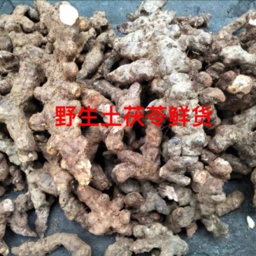 野生土茯苓鲜货产地直供品质保证全国发货欢迎致电