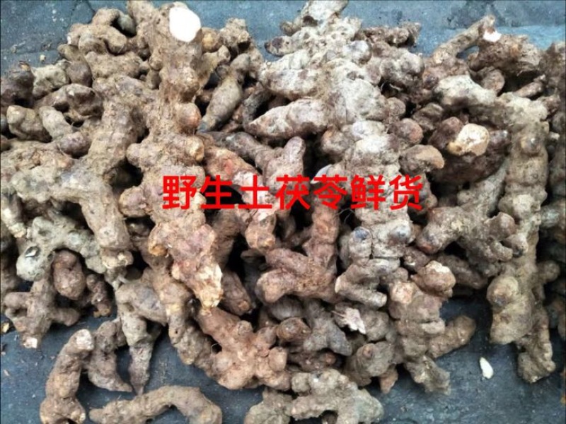 野生土茯苓鲜货产地直供品质保证全国发货欢迎致电