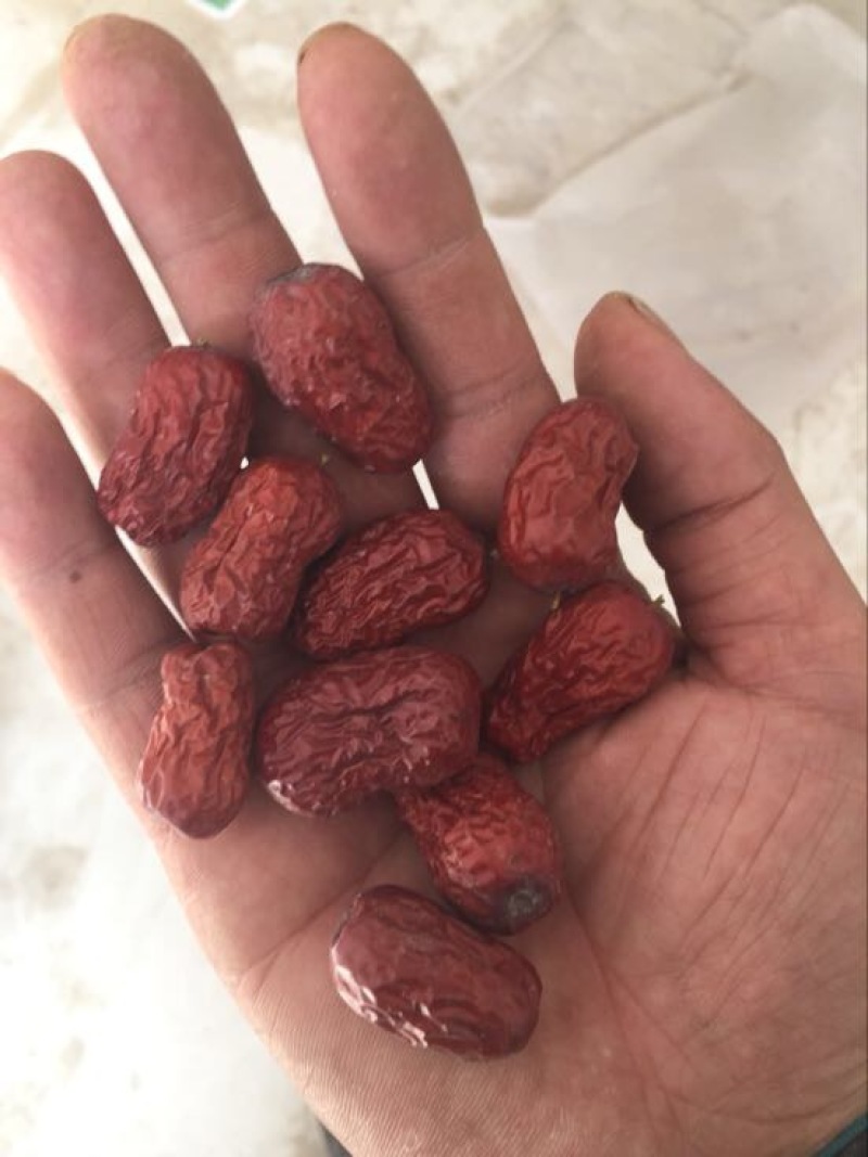 红枣一级干枣