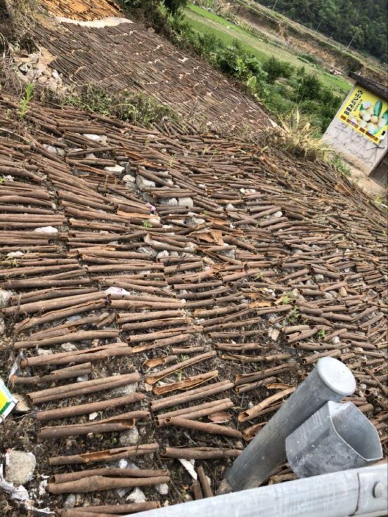 薄肉桂散装统货