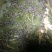蟾蜍二代好养养殖技术培训