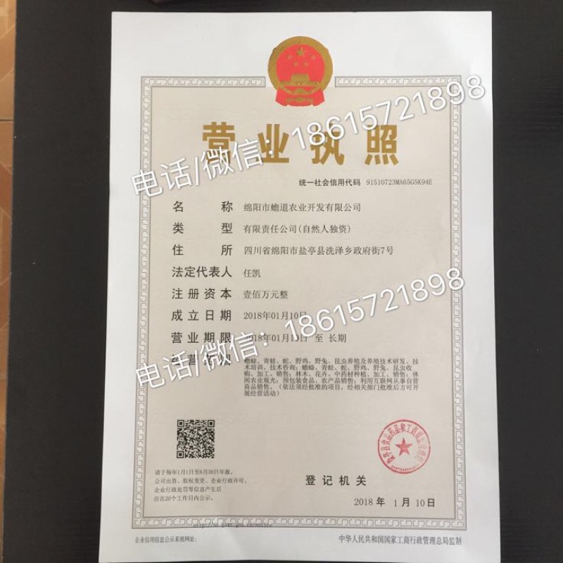 蟾蜍二代好养养殖技术培训