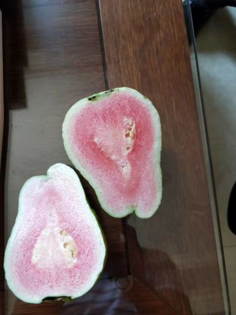 台湾红心番石榴苗红宝石，西瓜芭乐