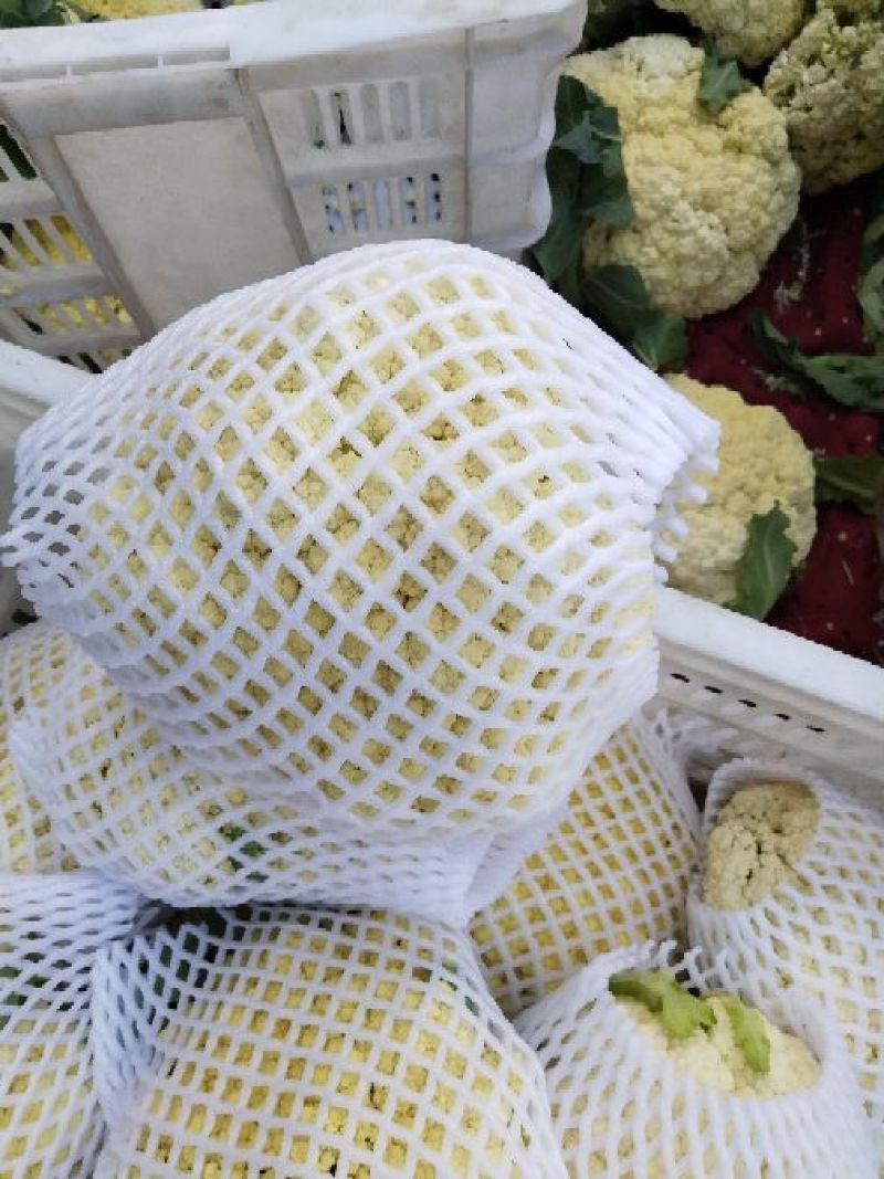 【花菜】松花菜散花乳白2~3斤品质保证可实地看货