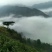 2025年黄山茶叶黄山原产地高山野毛峰500克装