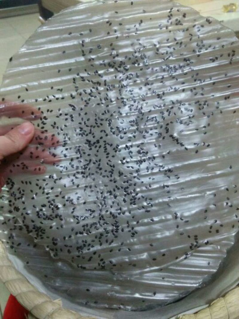 粉皮散装手工粉皮