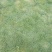 基地大量十成兰引三号草皮