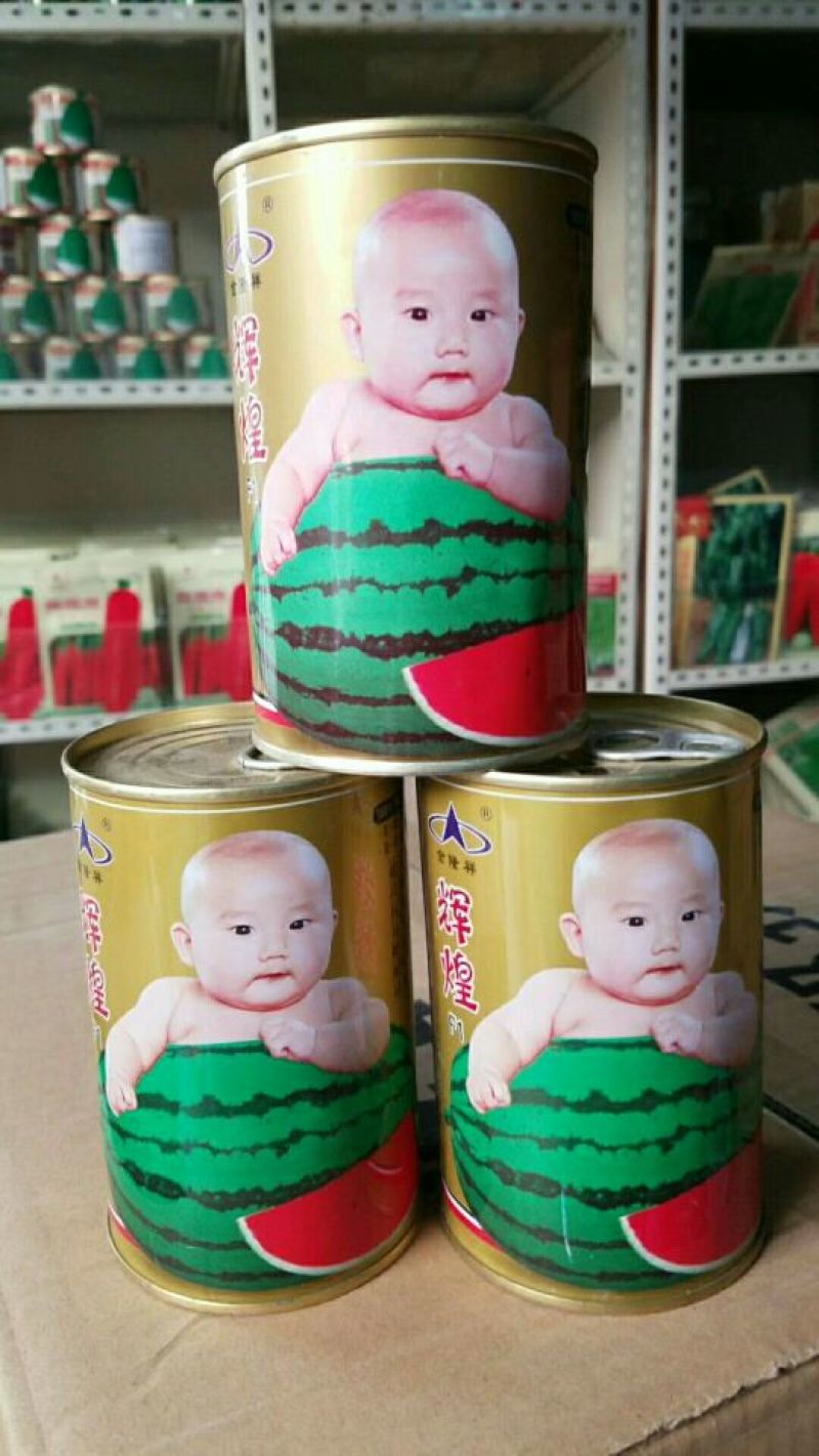 辉煌西瓜种子50克/桶基地专用品种全国包邮