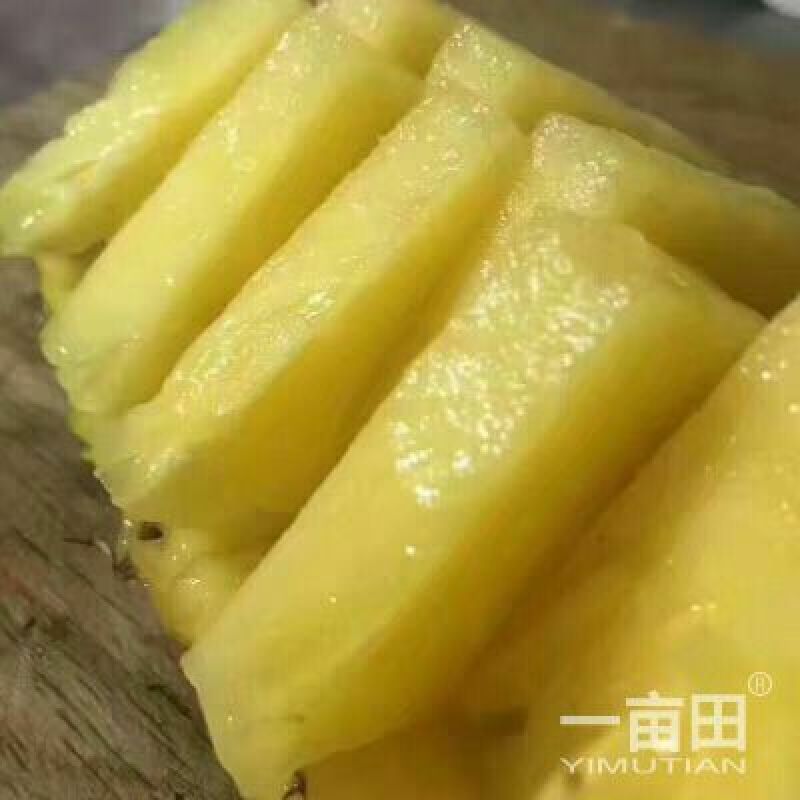 凤梨2~2.5斤