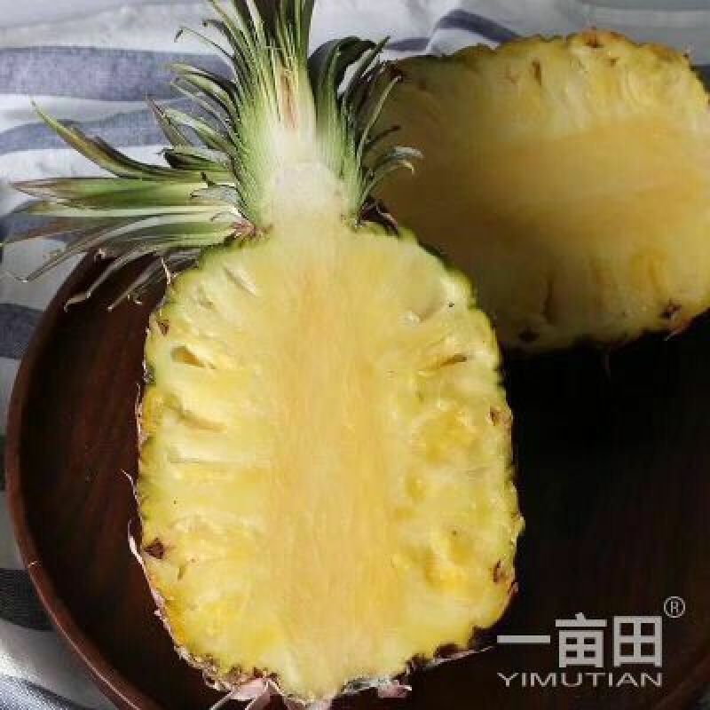 凤梨2~2.5斤