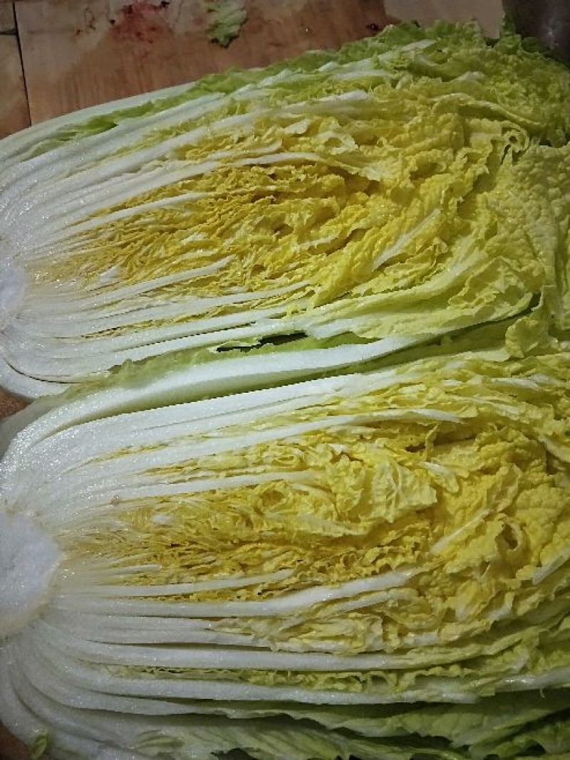 黄心白菜净菜4~6斤