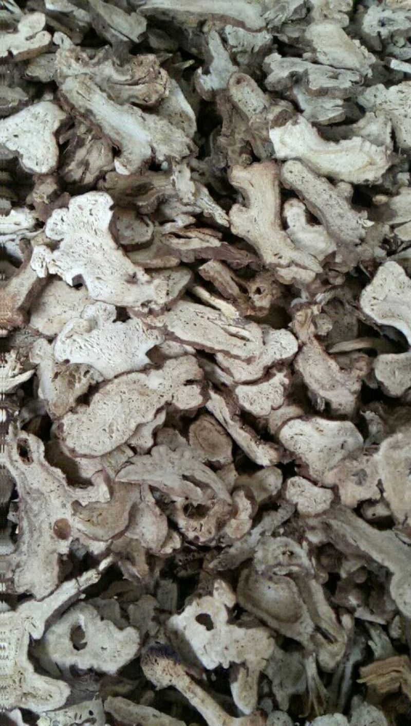 白术20~25g