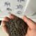波斯菊种子100%以上