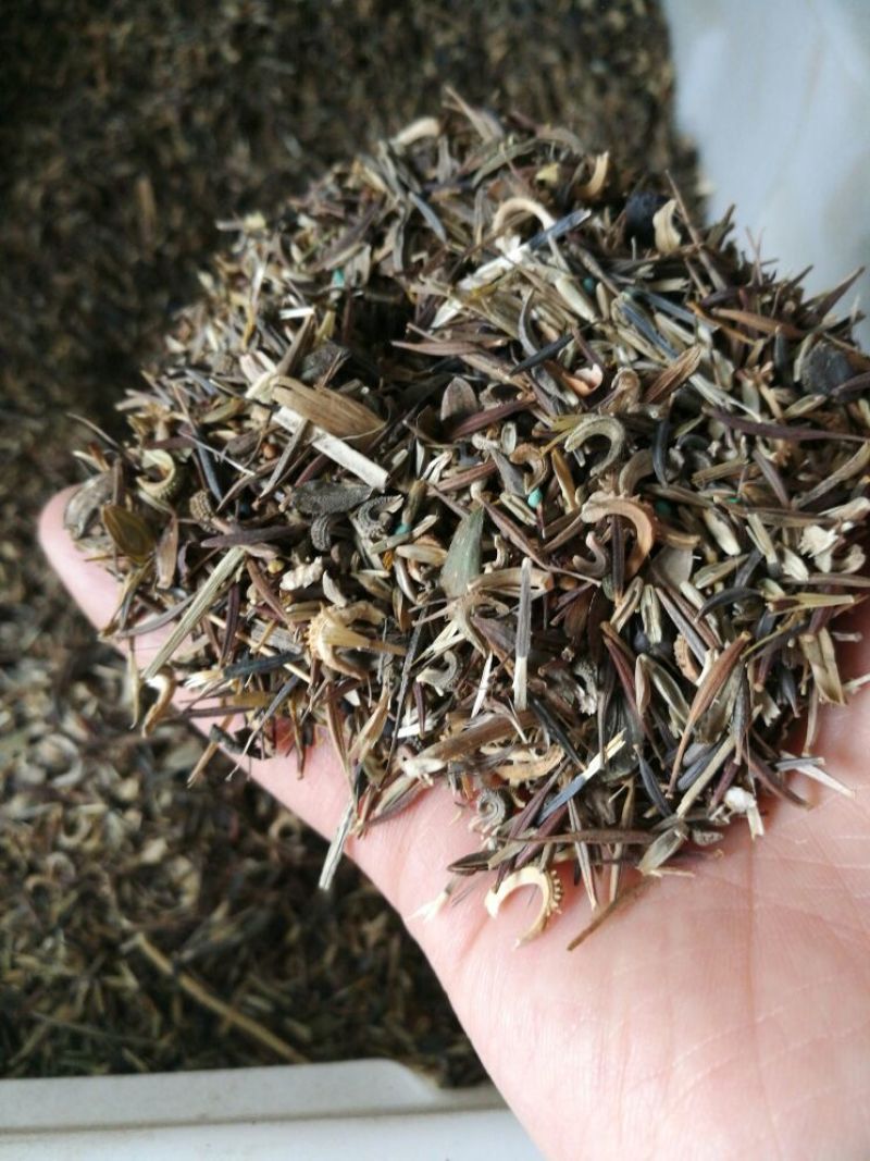 野花组合种子