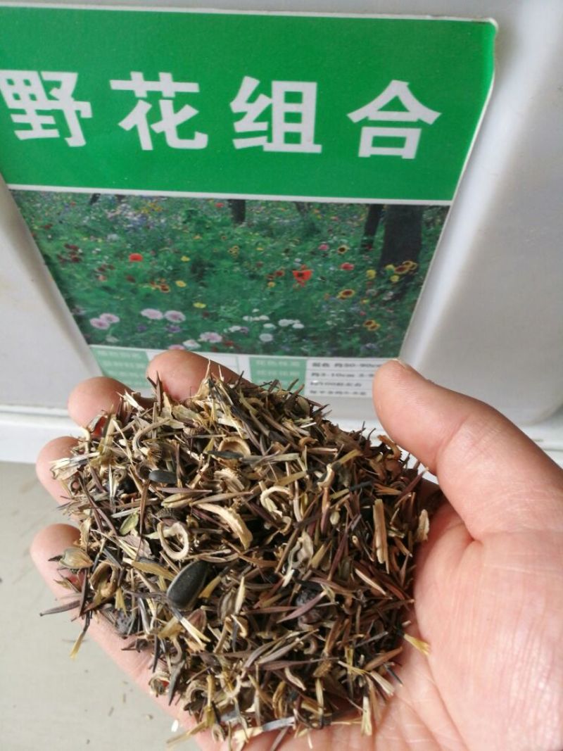 野花组合种子