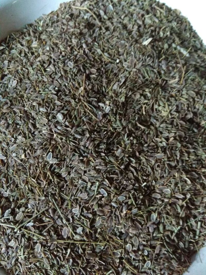 小茴香净货