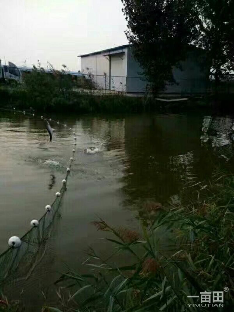 江苏宿迁沭渔网厂家现货质量好欢迎咨询采购