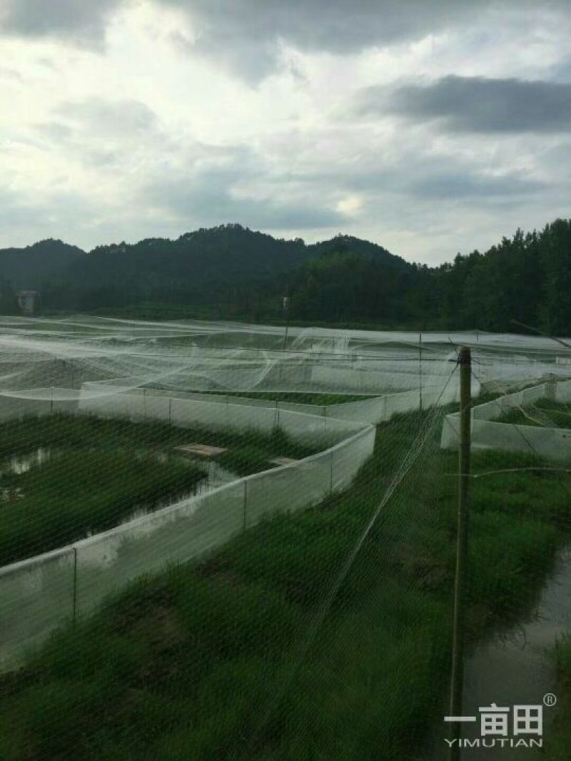 江苏宿迁沭渔网厂家现货质量好欢迎咨询采购