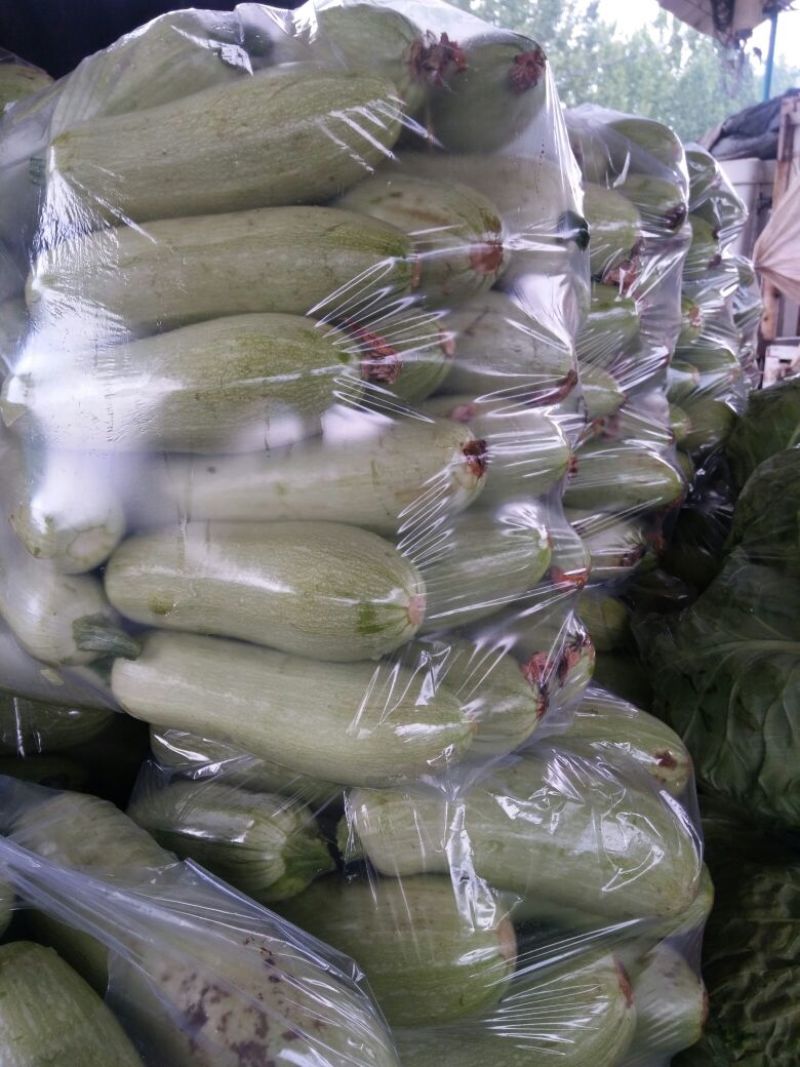绿皮西葫芦0.4斤以上