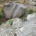 毛石