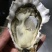 原浆半壳生蚝大小规格