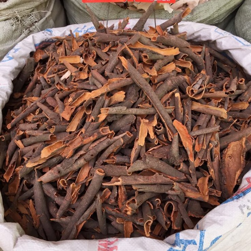 桂碎桂碎