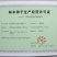 翠菊翠菊种子