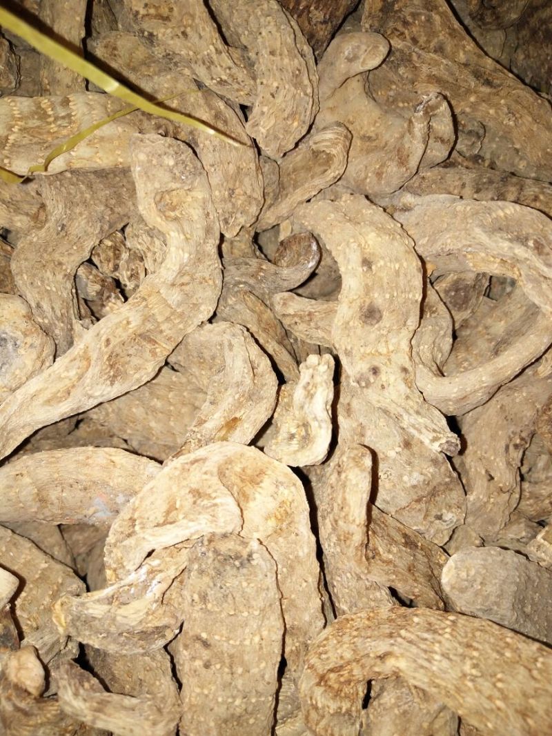 天麻二级