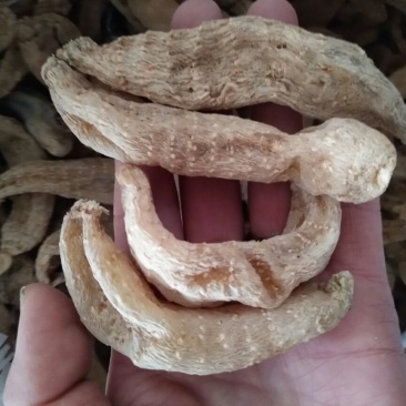 天麻二级