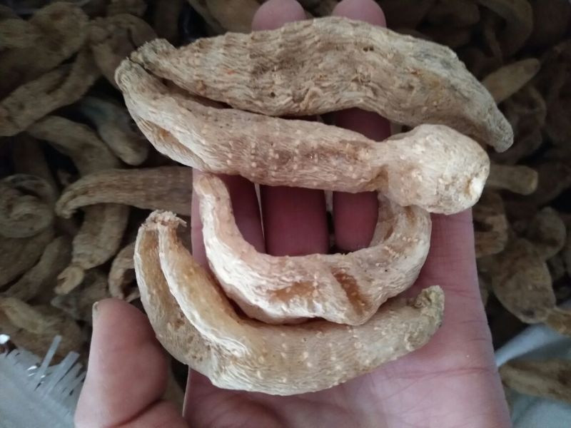 天麻二级