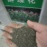 醉蝶花种子