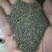 醉蝶花种子