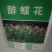 醉蝶花种子