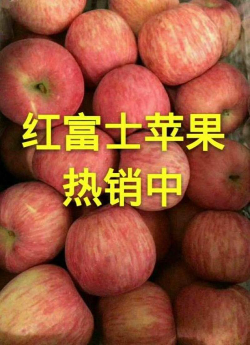 山东红富士苹果75mm以上纸袋可视频看货(全国发货)