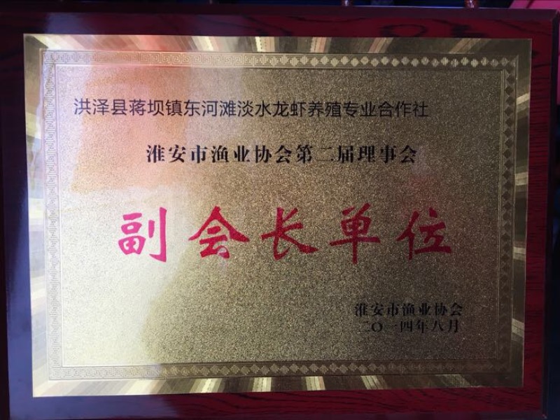 虾苗人工养殖种苗