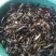 小龙虾小龙虾主养4-6钱（20-30克）食用活虾