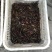 小龙虾小龙虾主养4-6钱（20-30克）食用活虾