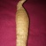 野生天麻一级