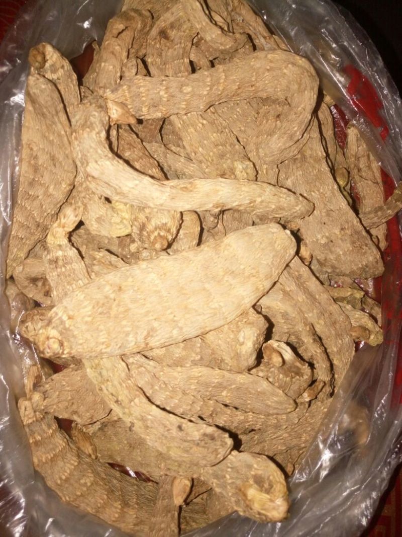 野生天麻一级