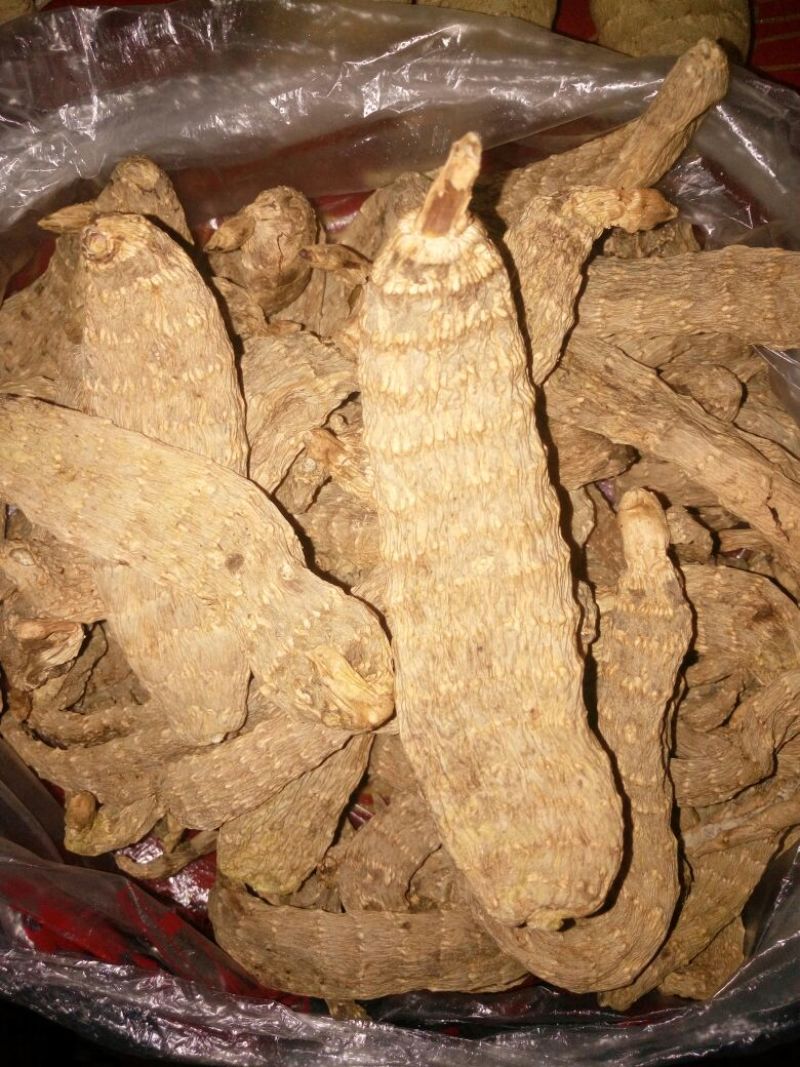 野生天麻一级
