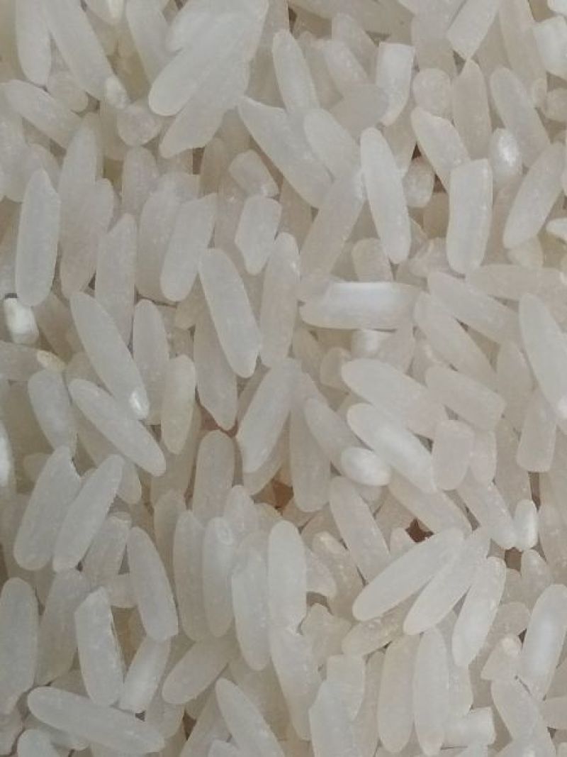 黄华占水稻1级