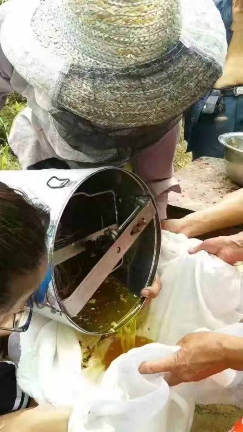 申蜂百花蜜2斤装，纯正，