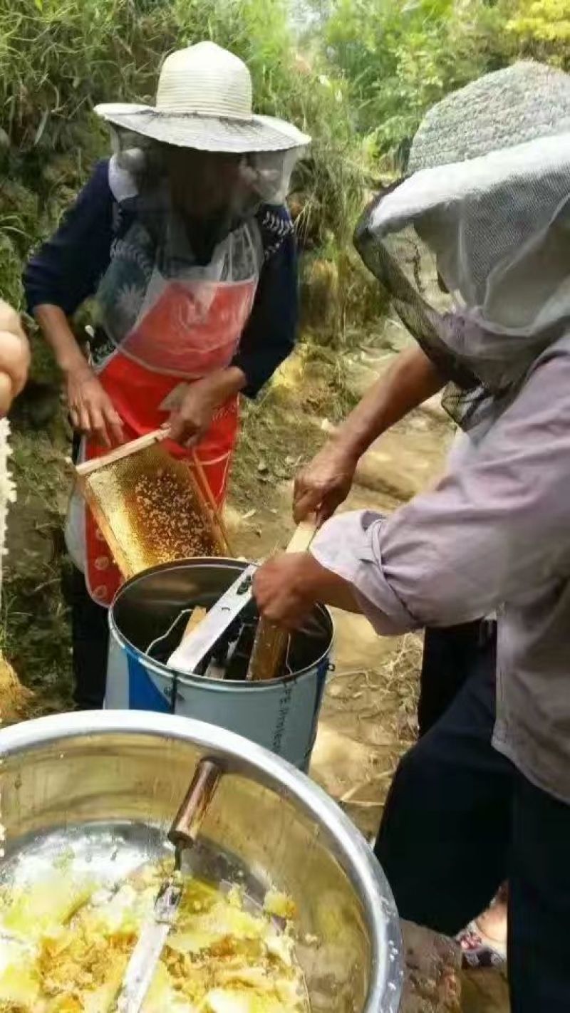 申蜂百花蜜2斤装，纯正，