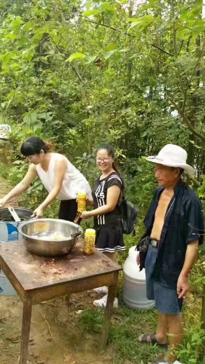 申蜂百花蜜2斤装，纯正，