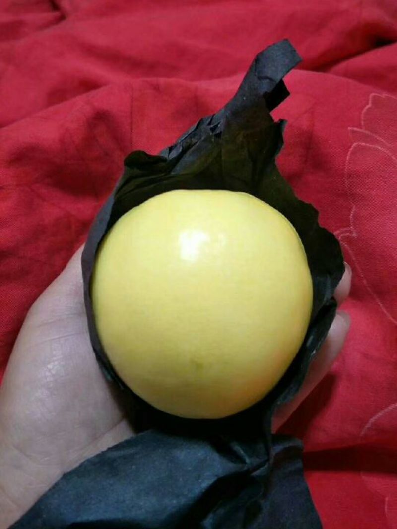 山东蒙阴黄巨油桃四两起步，大量上市品质保证值得信赖可电话