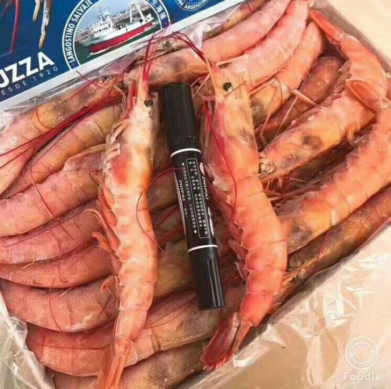 阿根廷红虾L1