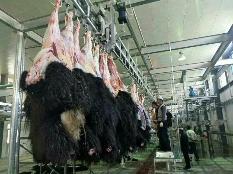 汶川茂源种植养殖，大量批鲜牦牛肉，牧场实力供货，一手货源